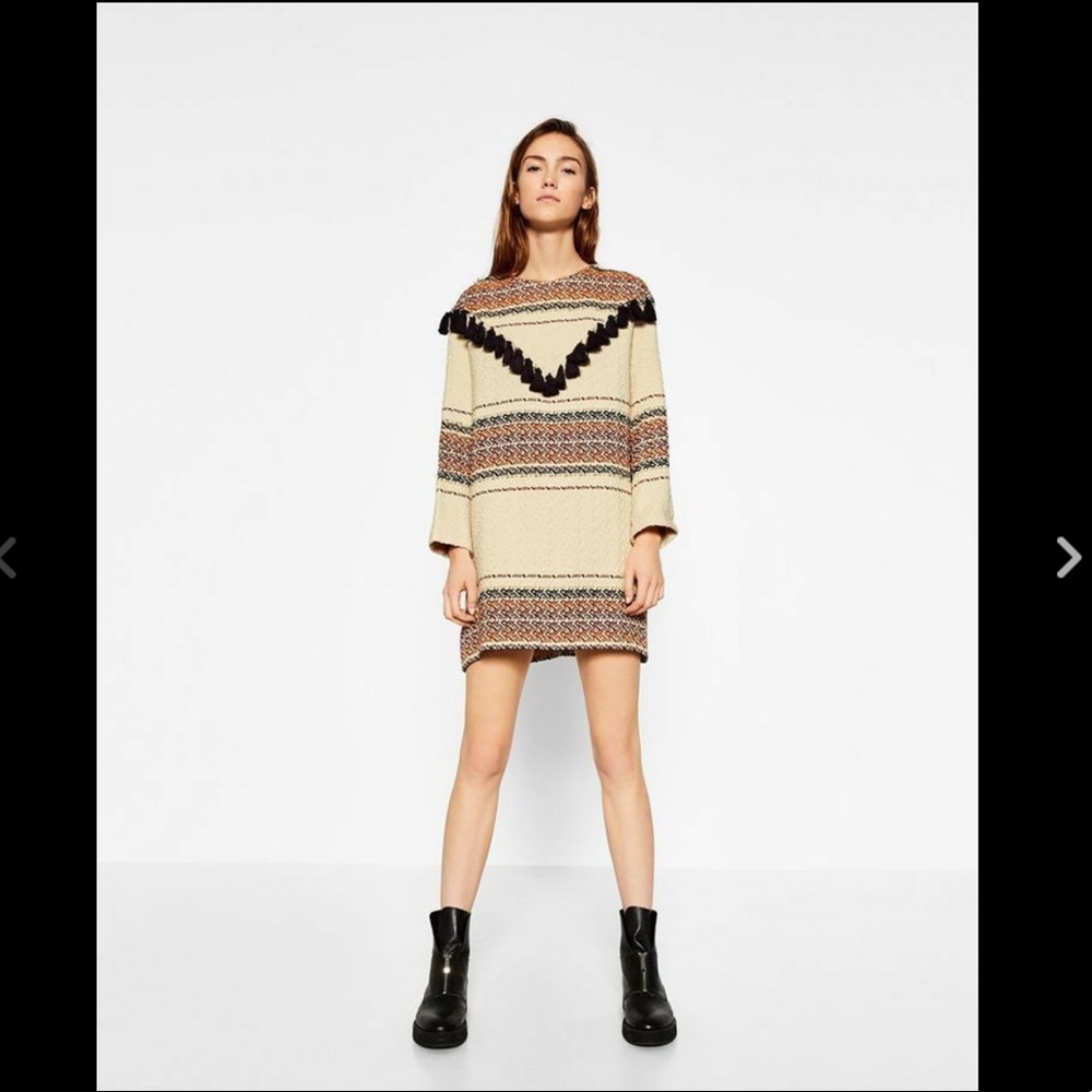 NWT ZARA Dress Tassel Long Sleeve 8500/229